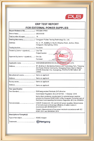 ERP Certificate